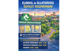 Állatorvosi ügyelet indul Veszprémben