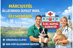 Állatorvosi ügyelet indul Kecskeméten Állatorvosi ügyelet indul Kecskeméten