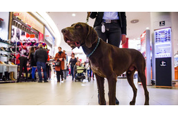 Nagy sikere van a kutyabarát bevásárlóközpontoknak - minden kilencedik vásárló kutyával érkezik!