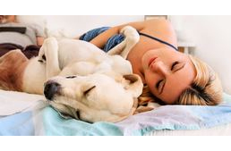 A tudósok szerint egészségesebb lehet, ha kutyával alszunk