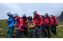 Amikor a mentőkutyát kell menteni - egy bernáthegyit mentettek Anglia legmagasabb hegyéről