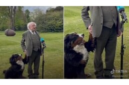 Széttrollkodta Írország elnökének kutyája a gazdájával készült interjút