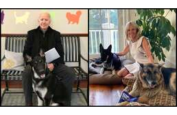 Történelmet ír Joe Biden kutyája: ő lesz az első mentett kutya a Fehér Házban