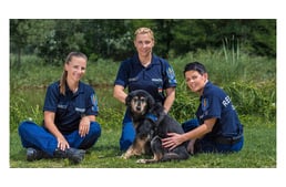 Rendőrök segítenek otthont találni az árva kutyáknak