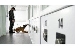 Erdélyben szolgálatba is állnak a koronavírussal fertőzöttek jelzésére tanított kutyák