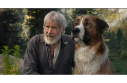 Kutyás filmmel érkezik Harrison Ford a mozikba