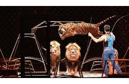 Nem szerepelhetnek többé vadállatok a szlovákiai cirkuszokban