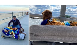 Mobil ágyat készítettek 16 éves kutyájuknak a gazdik, hogy még egyszer, utoljára elvihessék kedvenc tengerpartjára