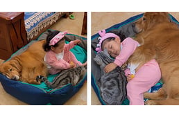 Kutyájával és cicájával tölti délutáni pihenőjét ez a kislány - megolvasztották az internetet!
