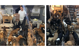 300 kutyát fogadott be egy férfi az otthonába, hogy megmentse őket a Delta hurrikán elől