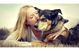 13 jel, hogy a legjobb kapcsolatot a kutyáddal ápolod