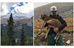 4000 méteres magasságból hozták le az idős kutyát másfél hónappal eltűnése után