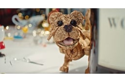 Szívszorító videóval kampányolnak az állatvédők: a kutya nem karácsonyi ajándék!