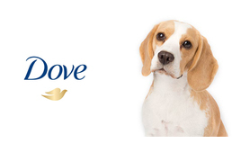 Állatkísérlet-mentes lesz a Dove!