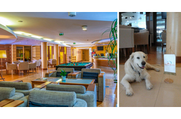 Négycsillagos kutyabarát hotelbe nyerhetsz egy hétvégét a fotópályázatunkon! Négycsillagos kutyabarát hotelbe nyerhetsz egy hétvégét a fotópályázatunkon!
