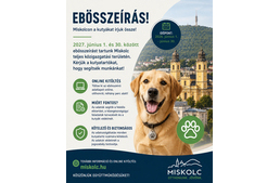 Ebösszeírás Miskolcon, a mulasztók büntetésre számíthatnak