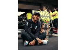 12 éves lett Roscoe, Lewis Hamilton kutyája