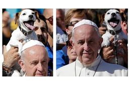 Így trollkodta szét egy Jack Russel Ferenc pápa fotóját