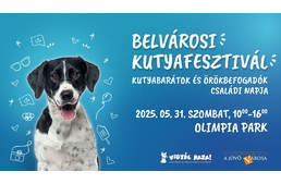 Írd be a naptárba: május 31-én jön a Belvárosi Kutyafesztivál!