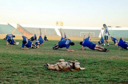 Kóbor kutya lett az új másodedzője egy paraguayi focicsapatnak
