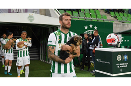 Örökbefogadásra váró kutyákkal a kézben vonultak pályára a Ferencváros és az MTK játékosai