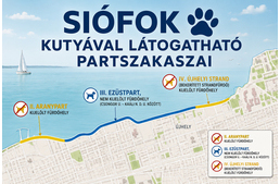 Siófokon itt mehetsz be kutyával a Balatonba