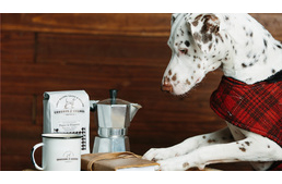 Egy kávégyártó cég bevétele 20%-ával segíti az árva kutyákat és a menhelyeket