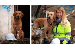 Siker a Pécsi Mentőkutyás Egyesületnél: Ginger nemzetközi mentőkutya-vizsgát tett
