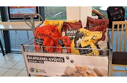 8000 kisállaton segíthetnek az ALDI és a Hangya közösség közös gyűjtése által 8000 kisállaton segíthetnek az ALDI és a Hangya közösség közös gyűjtése által