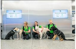 Koronavírust kiszagoló kutyák álltak szolgálatba Helsinki repterén