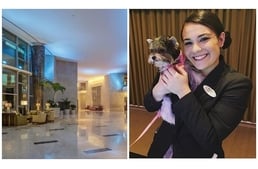 900 kutyának nyújtott menedéket egy floridai luxushotel az Irma hurrikán napjaiban