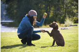 Tanítás és jutalmazás: milyen jutalom hatásos a kutyádnál?