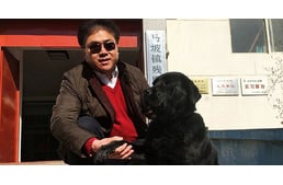 Vakvezető kutyát loptak el gazdájától Kínában