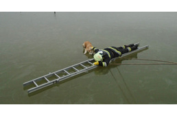 A Duna jegéről mentettek kutyát a tűzoltók