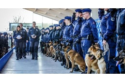 Díszsorfallal búcsúztatták a két rendőrkutyát, akik a rosszfiúk üldözésekor történt balesetben haltak meg