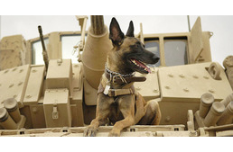 K-9 kutyák - az amerikai szuperkatonák