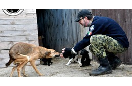 Élete árán is mentett állataival marad az olasz férfi ukrajnai menhelyén