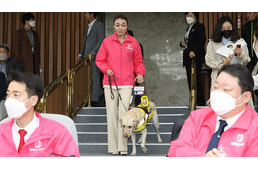 Történelmet írt ez a kutya Dél-Koreában: ő az első állat, aki beléphet a parlamentbe