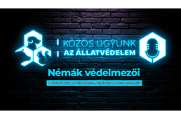 Szaporítótelepek és kutyaviadalok elleni fellépéssel startol a Közös ügyünk az állatvédelem Alapítvány új podcast sorozata az Állatok Világnapján!