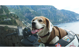 Kutya a motoron - Olaszország egy motoros és vagány kutyája szemével - 3. rész