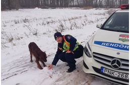 Rendőrök mentették meg a fagyhaláltól az elkóborolt kutyust