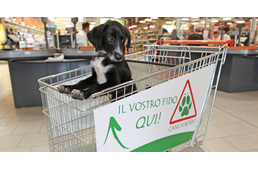 Így is lehet: kutyás bevásárlókocsik egy olasz üzletláncban