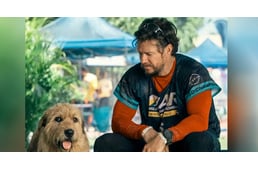Különleges barátság szövődött Mark Wahlberg és egy kóbor kutya között az Artúr, a király forgatásán