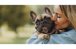 Máshogy viszonyulnak a rövid orrú kutyák az emberekhez, mint a hosszabb orrú társaik?