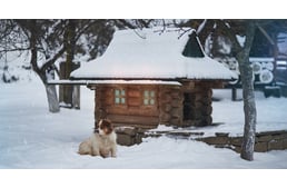 Közeleg a hideg: Készítsd fel a kutyaházat!