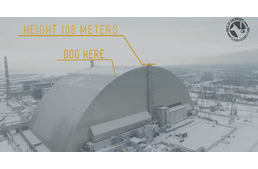 Csernobil: egy épület tetejéről mentettek kutyát a munkások