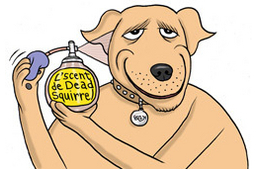 Kutyaszag ellen parfümöt tessék!