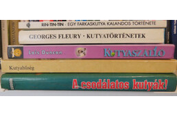 Kutyás könyvek az olvasás és kedvencük szerelmeseinek