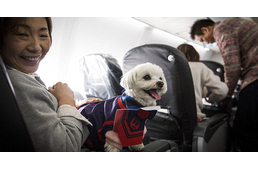Kutyabarát repülőjárat indult Japánban!
