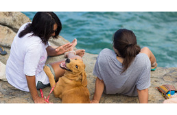 Külön strandot kapnak a kutyák Barcelonában!